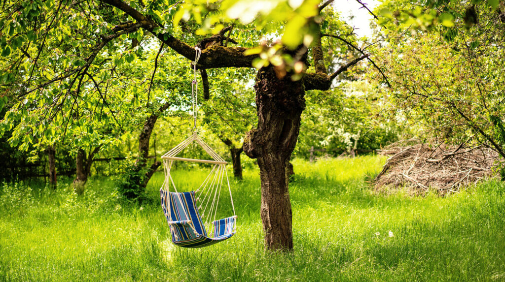 Zu sehen ist ein Hängesessel, der an einem Ast an einem Baum in einem Garten hängt