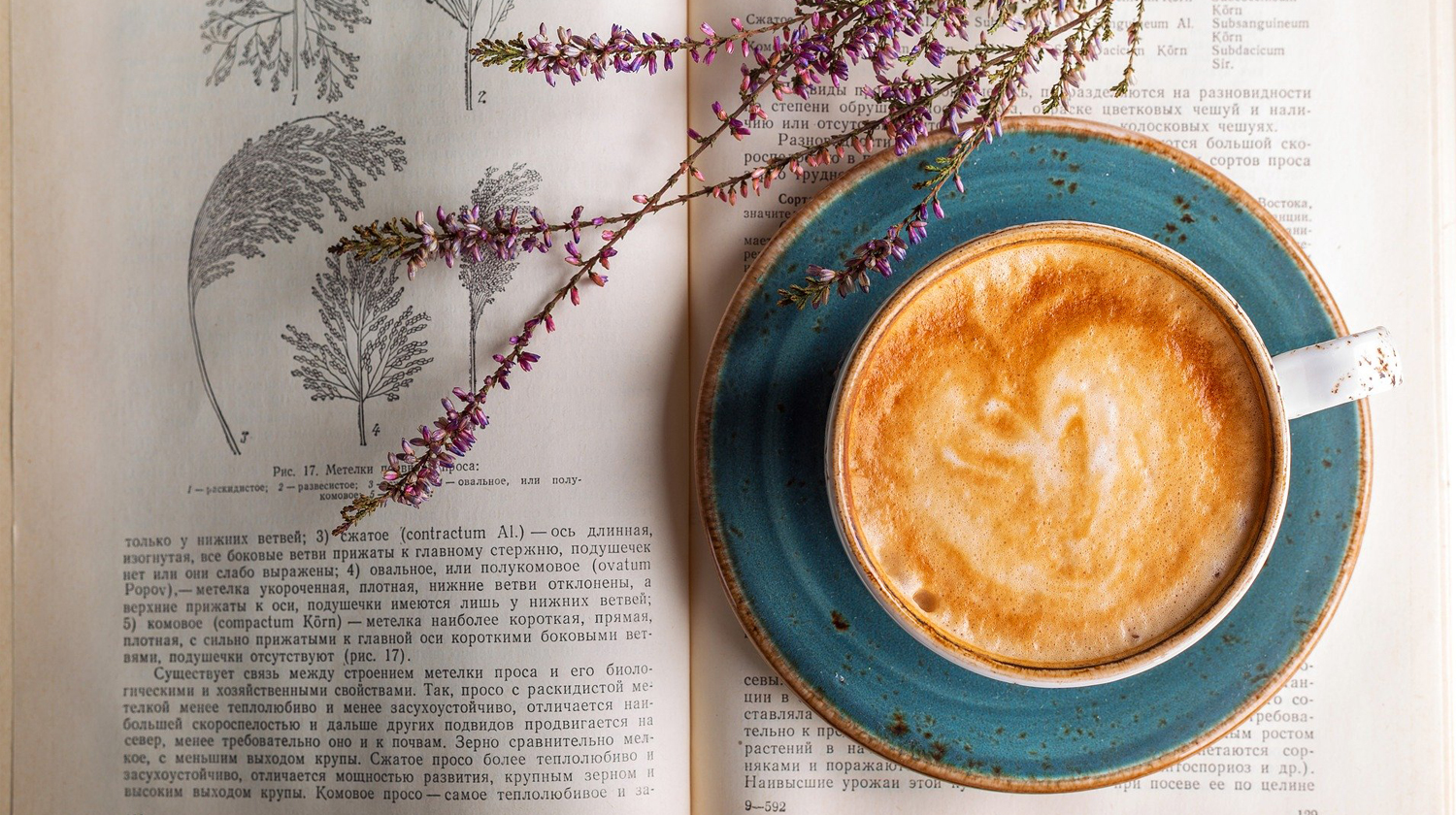 Zu sehen ist eine Kaffeetasse, die auf Hängemöbeln zu Flecken führen kann